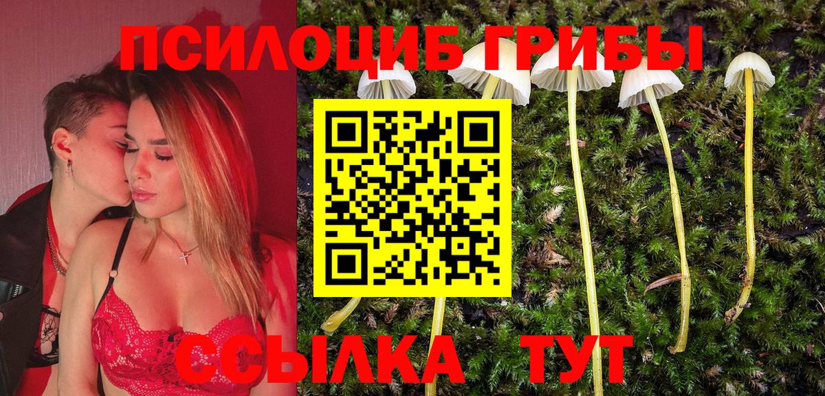 Галлюциногенные грибы ЛСД  Вход с VPN  Псилоцибиновые грибы Psilocybe  Ступино 